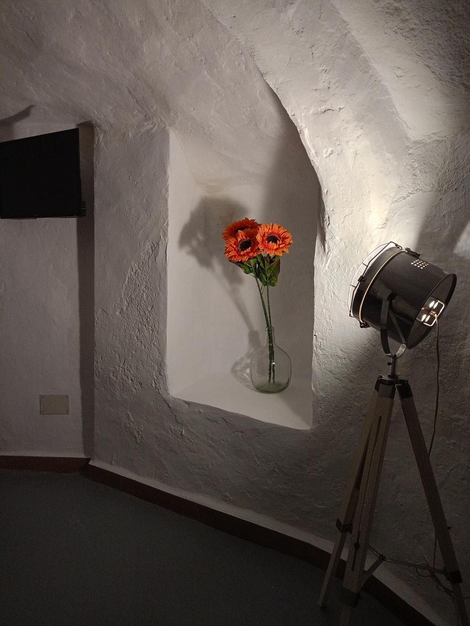 Encantadora Casa-Cueva En Pleno Barrio Alfarero De Níjar Eksteriør bilde